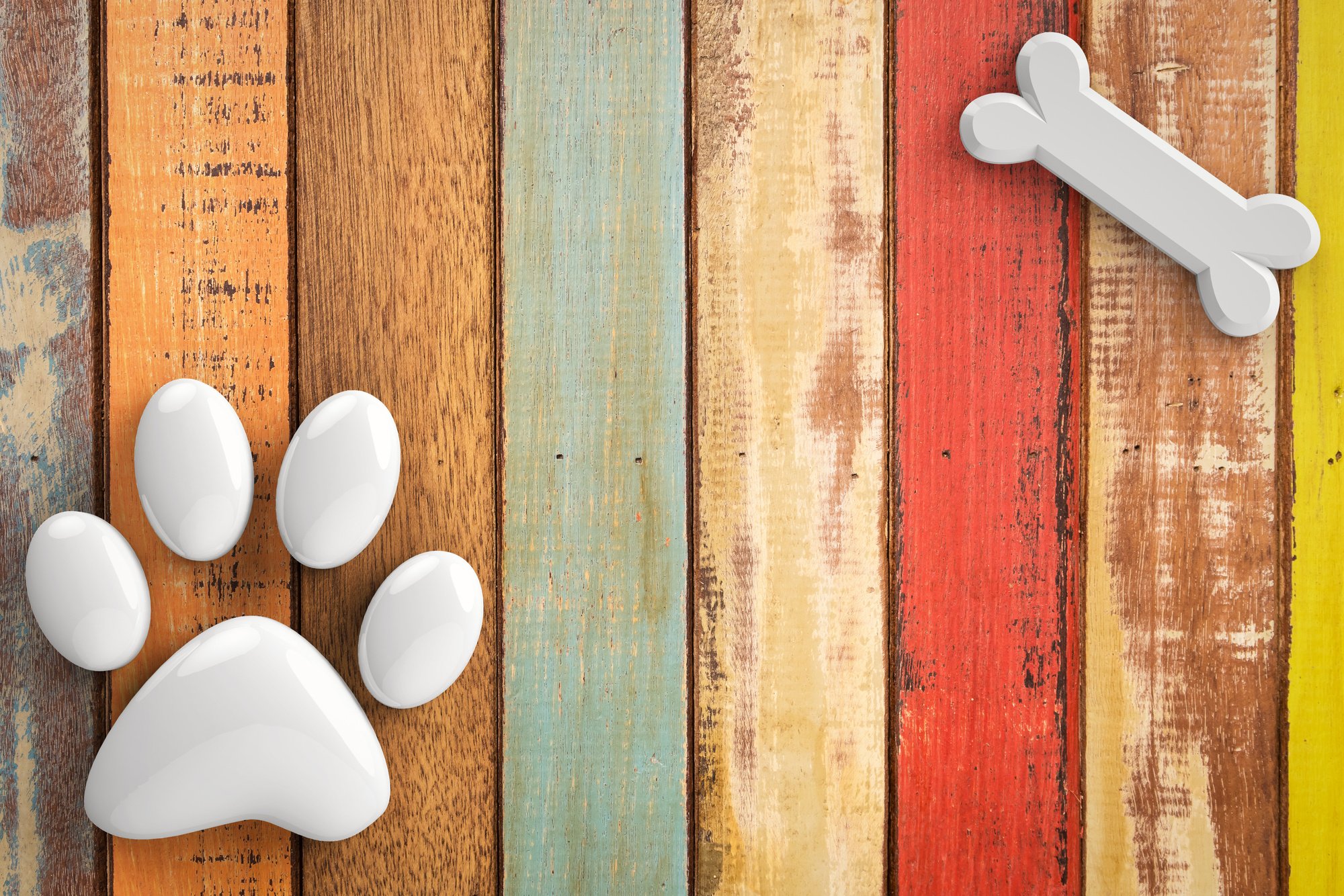 dog bones on wooden background